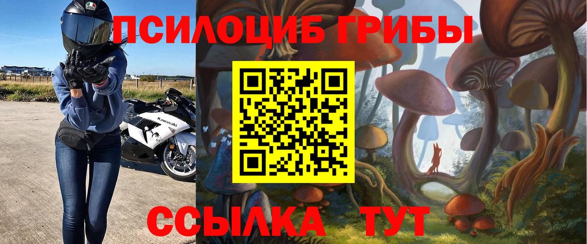 Галлюциногенные грибы Magic Shrooms  Вход с VPN  Севастополь  Галлюциногенные грибы MAGIC MUSHROOMS 